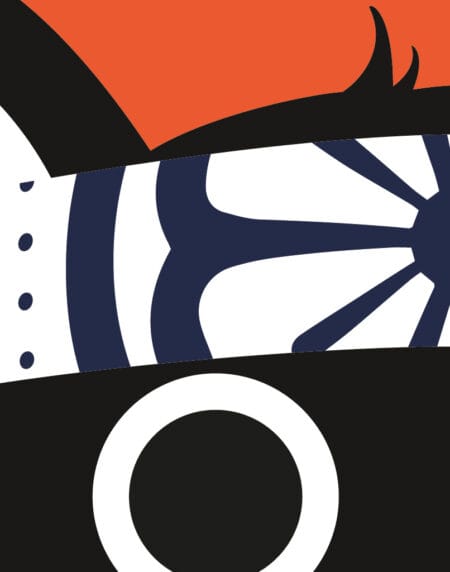tongue in cheek vector illustration of a cat depicted as Daniel from Karate Kid, in orange, black and white zoomed in