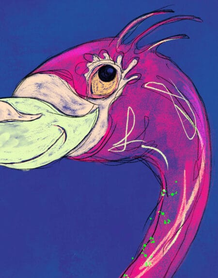a digital sketch of a brightly coloured flamingo in pinks, purples and greens on a dark mottled background