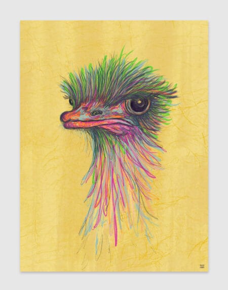 hand-drawn illustration of an ostriches head, done in bright greens and pinks on a yellow background