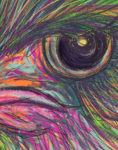 hand-drawn illustration of an ostriches head, done in bright greens and pinks on a yellow background, zoomed in