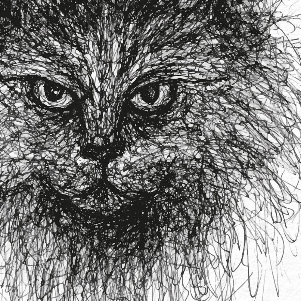 hand-drawn black and white scribble illustration print of a cat, zoomed in