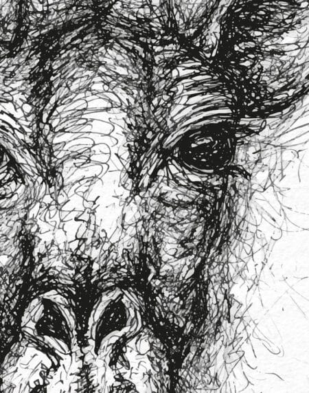 hand-drawn black and white scribble illustration print of a giraffe, zoomed in