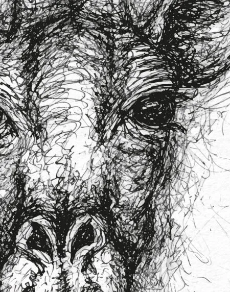 hand-drawn black and white scribble illustration print of a giraffe, zoomed in